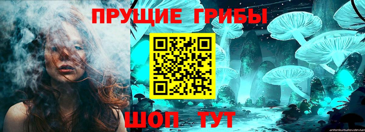 Псилоцибиновые грибы MAGIC MUSHROOMS  купить  цена  Дагестанские Огни  Вход с VPN  Псилоцибиновые грибы прущие грибы 