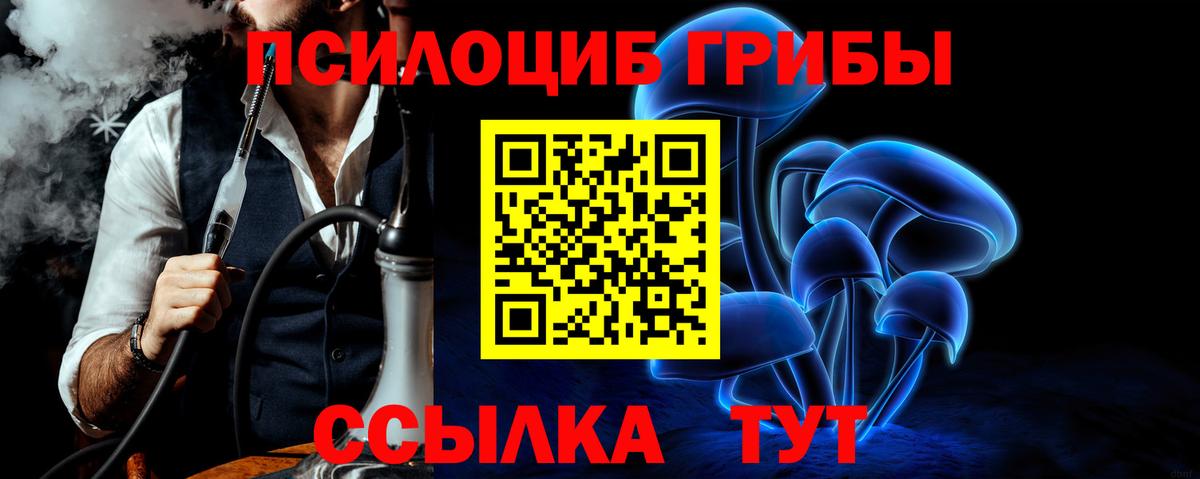 Галлюциногенные грибы прущие грибы Дагестанские Огни